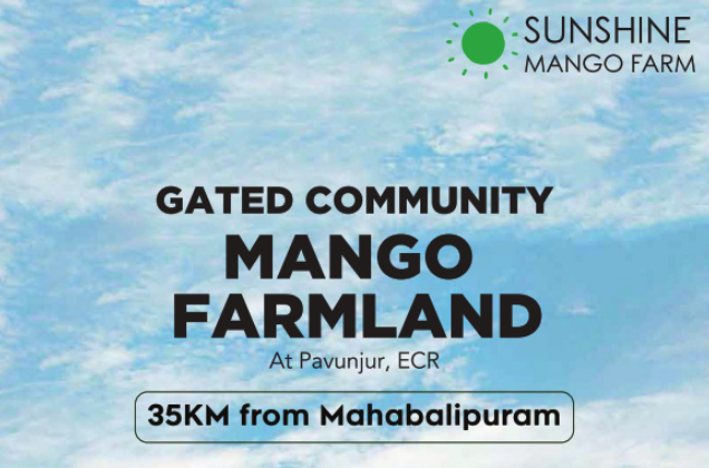 Farm Land – Sunshine